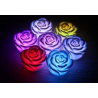 Rose lumineuse à couleurs changeantes